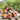 Active Lifestyle - shopstartups - Entdecke kuratierte Startup-Produkte