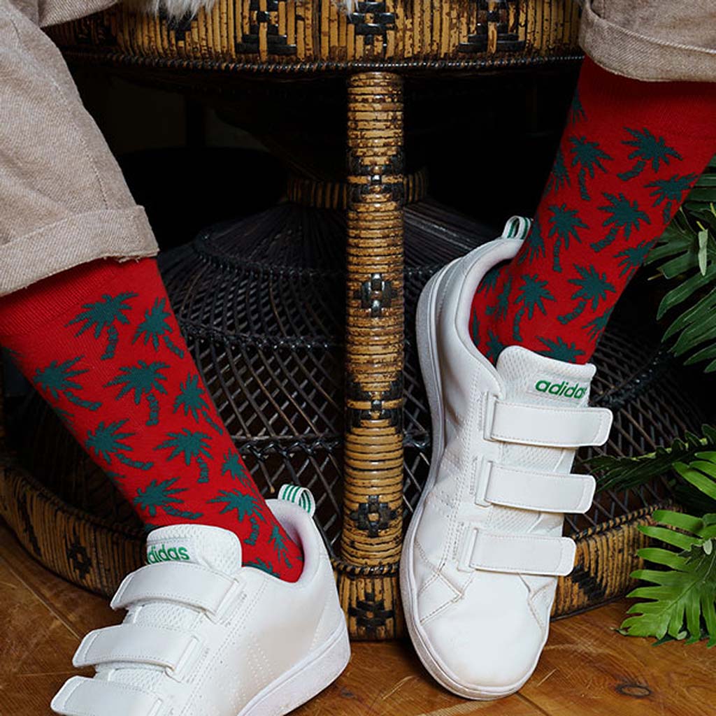 Patron Socks bei shopstartups | shopstartups.de