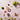 Zwei Drinks mit Limette und Himbeere - shopstartups - Startup-Produkte
