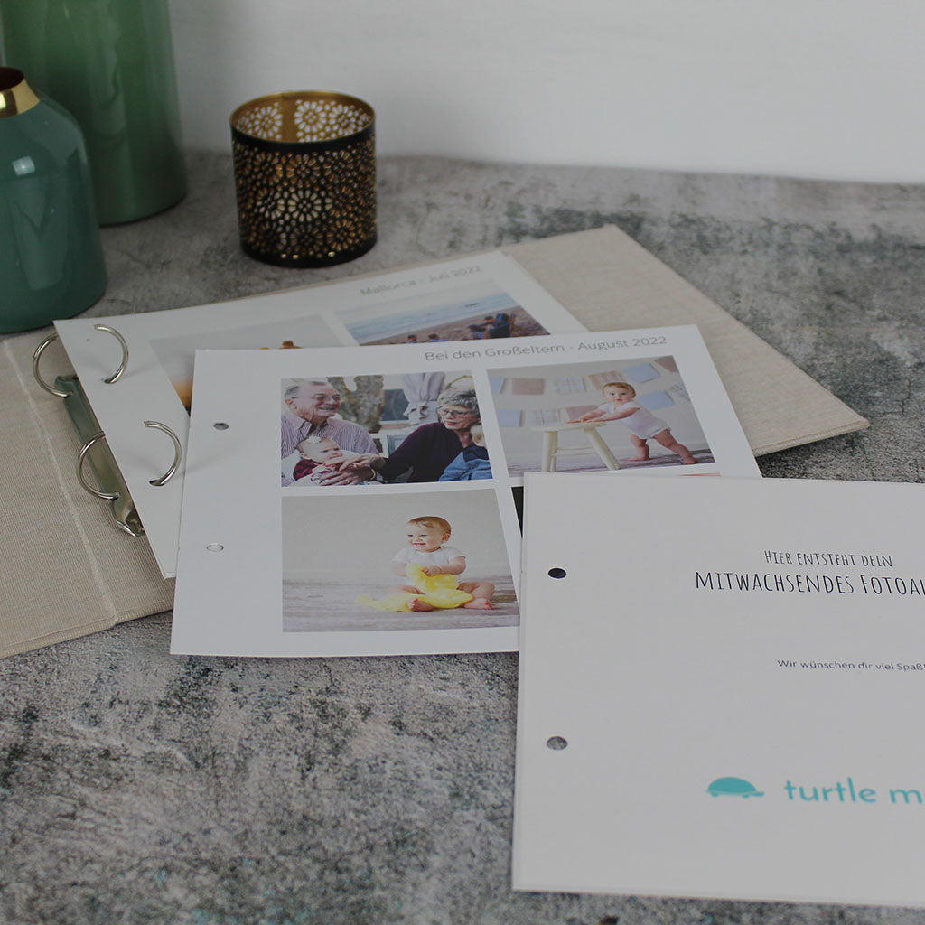 turtle moments bei shopstartups | shopstartups.de