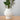Nachhaltige Vase "Sylvester" aus dem 3D-Drucker - shopstartups.de | Startup Produkte