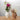 Nachhaltige Vase "Sylvester" aus dem 3D-Drucker - shopstartups.de | Startup Produkte