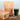 Zell Harmonie® bei - shopstartups.de | Startup Produkte